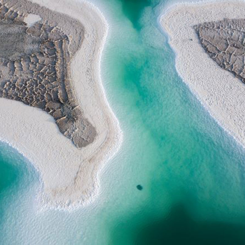 green coastline implying ESG concept