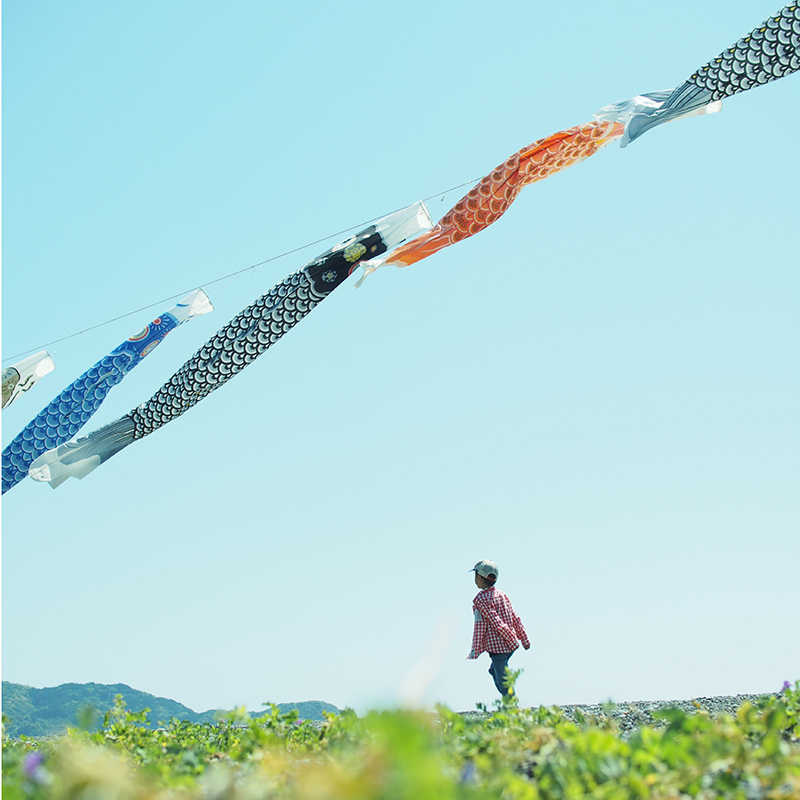 Boy looking up "Koinobori" which is the carp streamers for the meaning of strength and success. In Japan we set up these on Children ‘s day wishing children’s happiness and health.