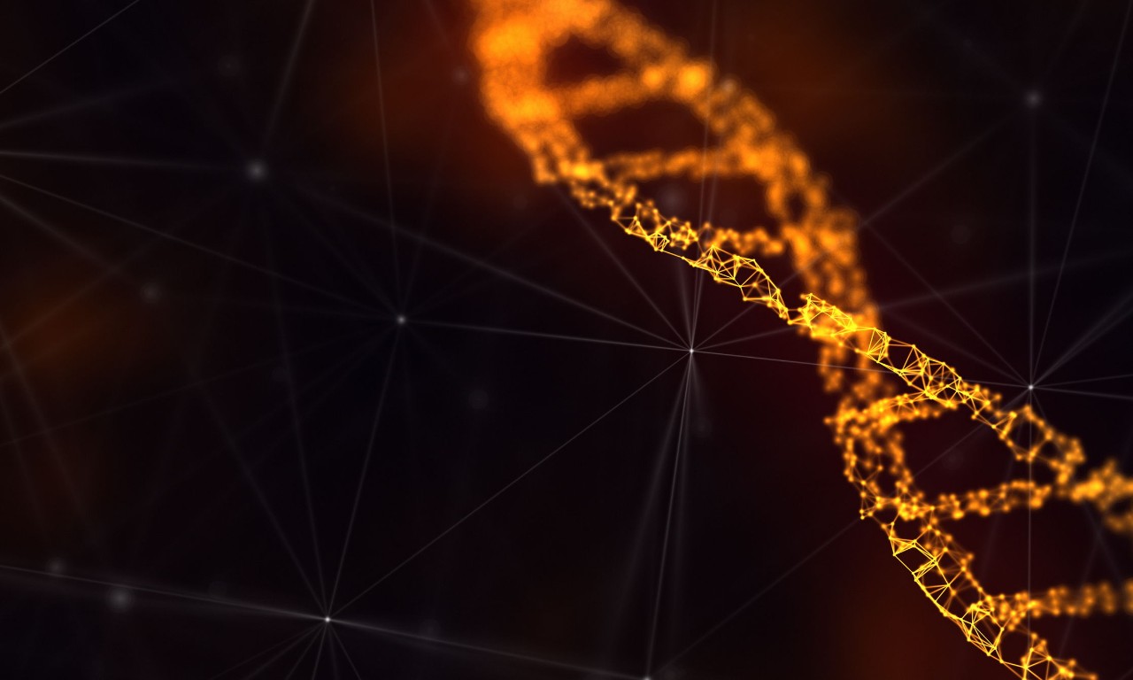 DNA molecule